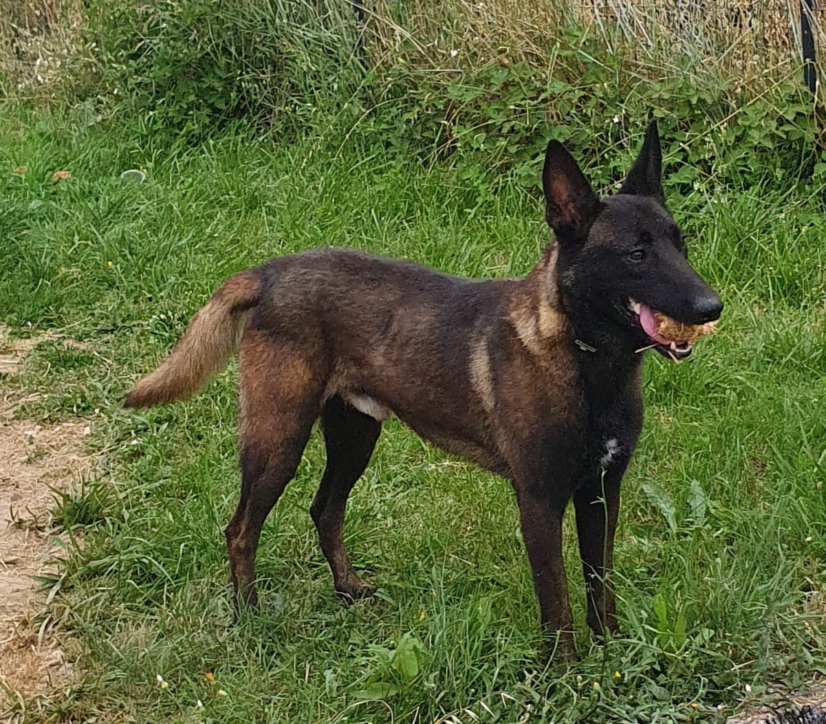 Seti des Temples du Causse