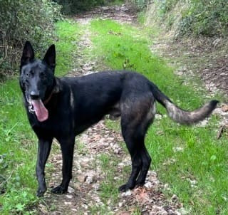 Up De La Dream Team Des Charbonheur